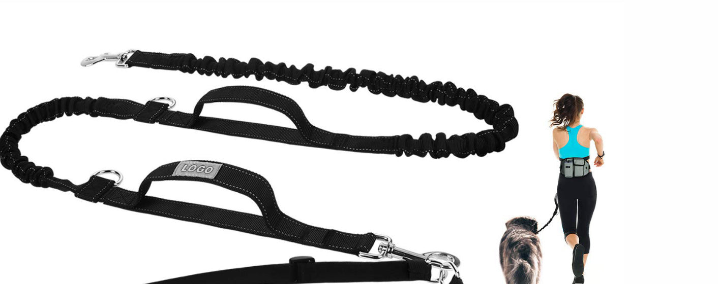 Borsa per Allenamento del Cane con Guinzaglio e Cintura
