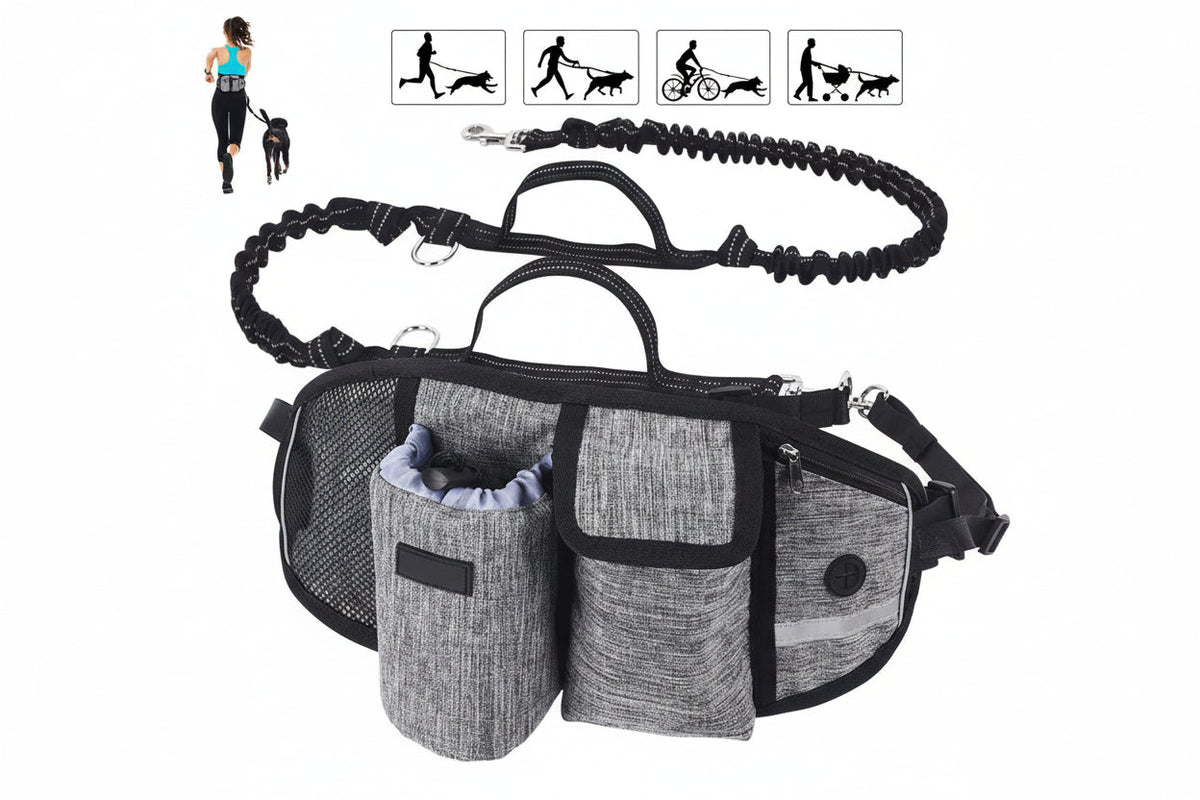 Borsa per Allenamento del Cane con Guinzaglio e Cintura