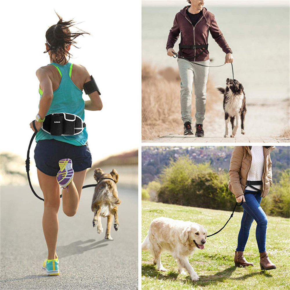 Borsa per Allenamento del Cane con Guinzaglio e Cintura