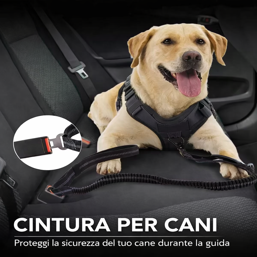 Guinzaglio per Cani Anti-Tiro Elastico Riflettente con Assorbimento Shock, Moschettone di Sicurezza e Aggancio Cintura Auto – Per Cani Taglia Media e Grande