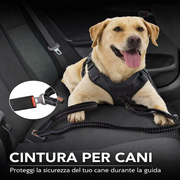 Guinzaglio per Cani Anti-Tiro Elastico Riflettente con Assorbimento Shock, Moschettone di Sicurezza e Aggancio Cintura Auto – Per Cani Taglia Media e Grande