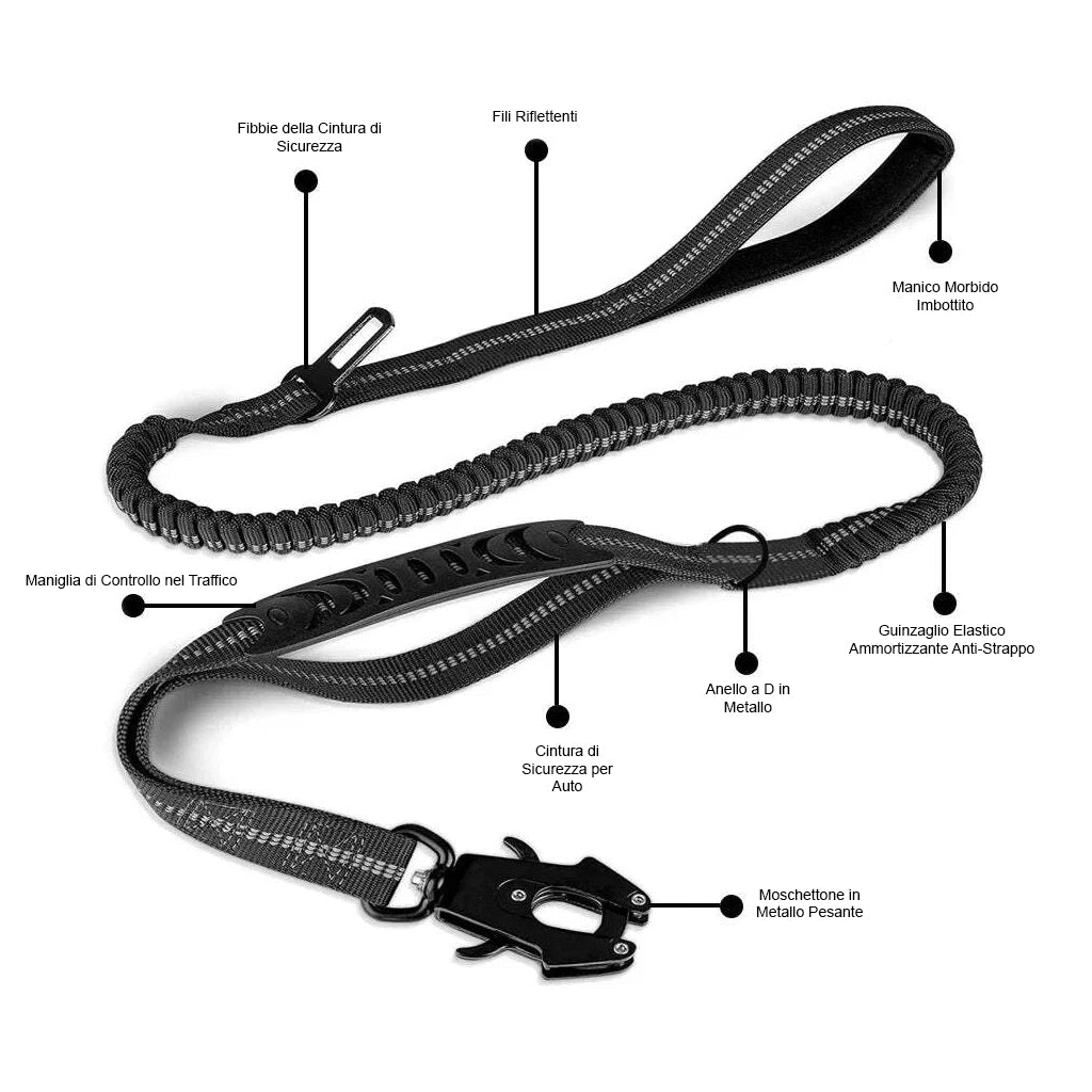 Guinzaglio per Cani Anti-Tiro Elastico Riflettente con Assorbimento Shock, Moschettone di Sicurezza e Aggancio Cintura Auto – Per Cani Taglia Media e Grande