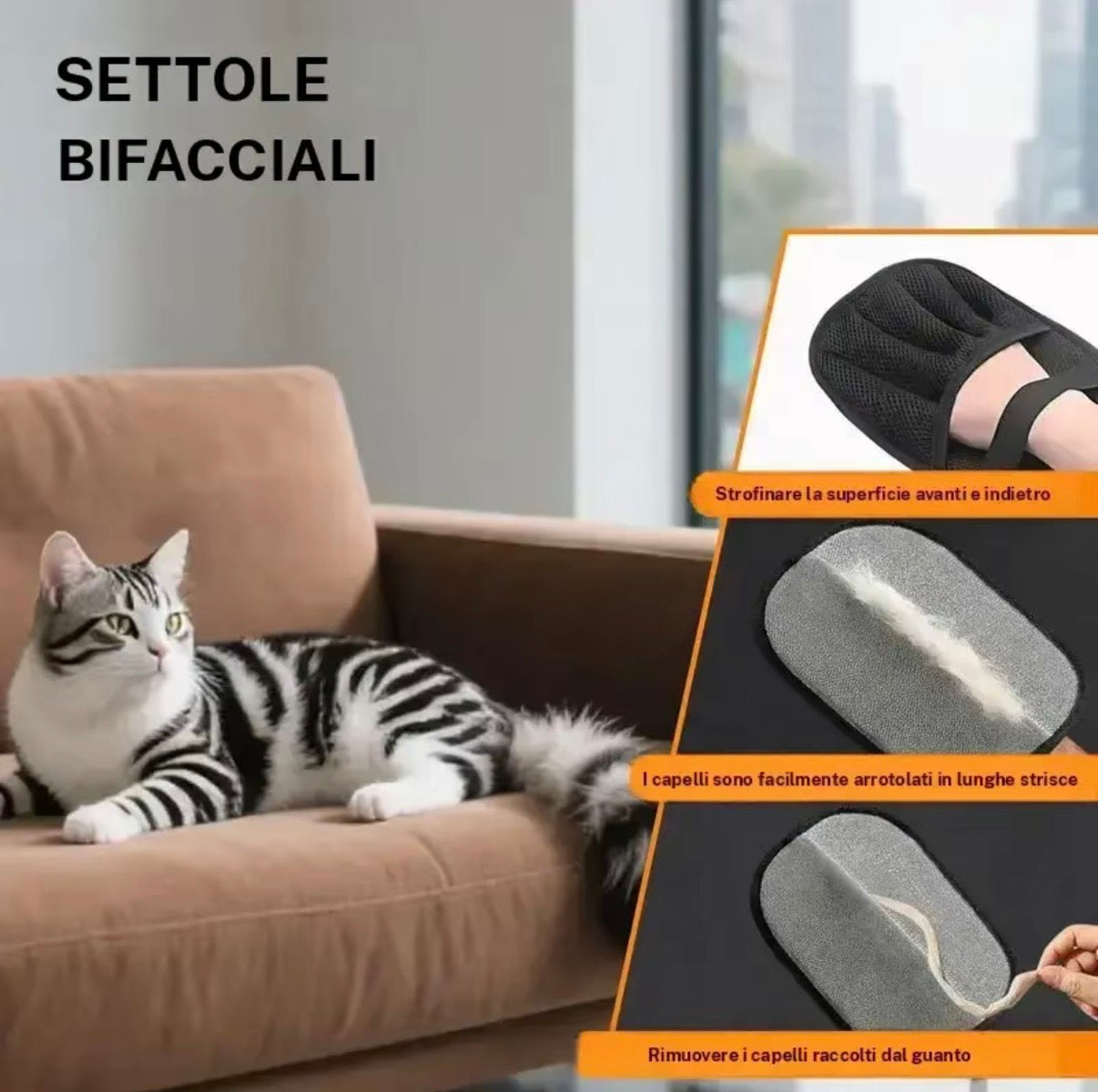 Il metodo più veloce per eliminare i peli di cane e gatto da qualsiasi superficie in 10 secondi