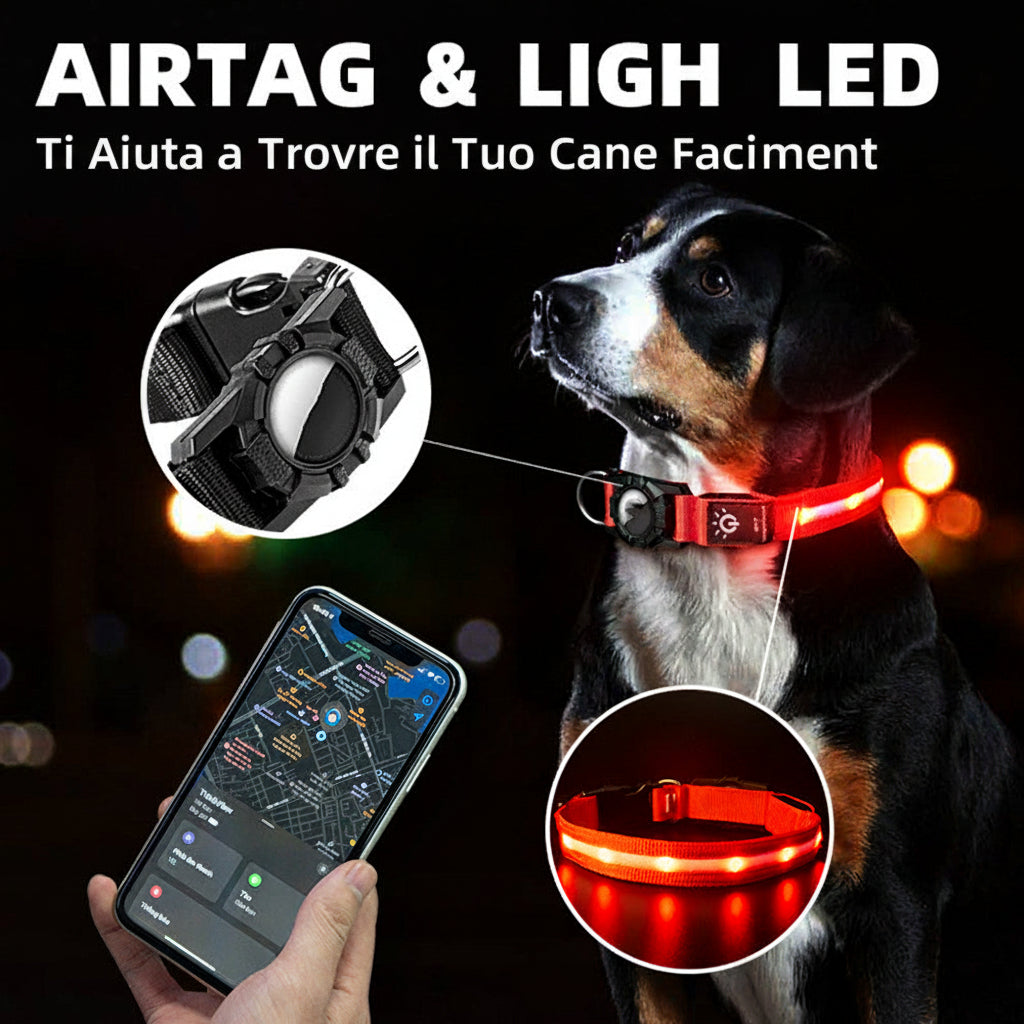 Collare Impermeabile con LED per Cani e Gatti – Nylon, Taglie S/M/L