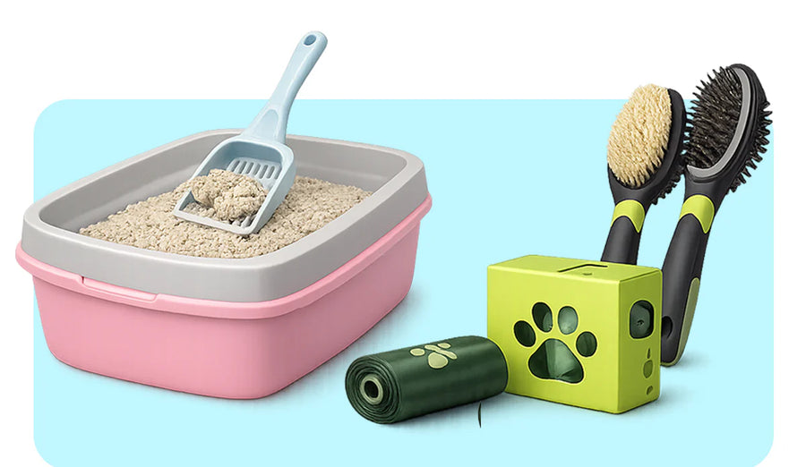 Igiene & Salute