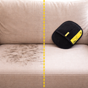 Il metodo più veloce per eliminare i peli di cane e gatto da qualsiasi superficie in 10 secondi