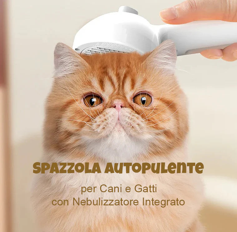 Hero secondaria